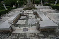 IMG 7986