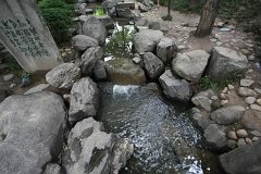 IMG 7988