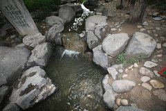 IMG 7989