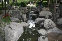 IMG 7992