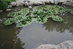 IMG 7993