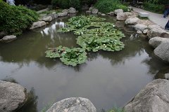 IMG 7995