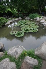 IMG 7996