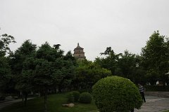 IMG 7998