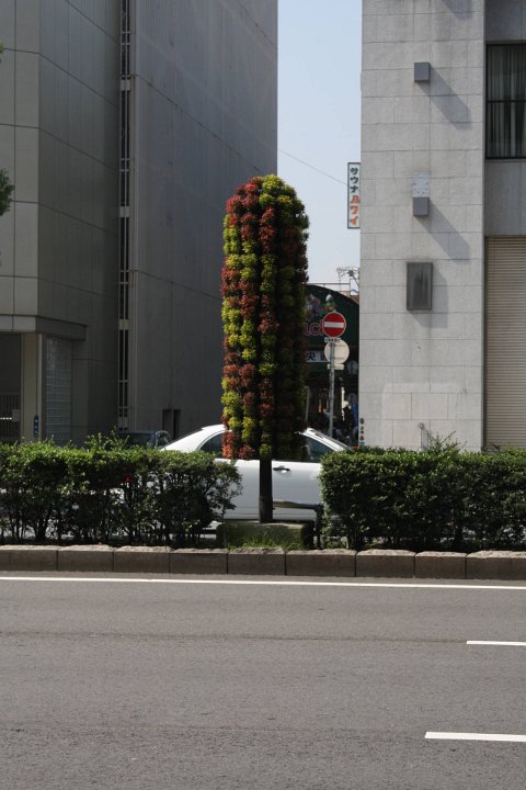 IMG 3957