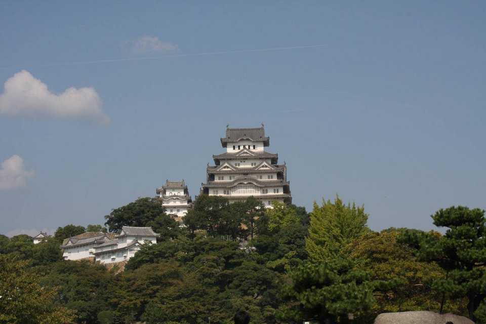IMG 3986