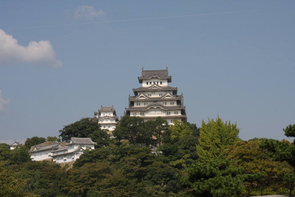 IMG 3988