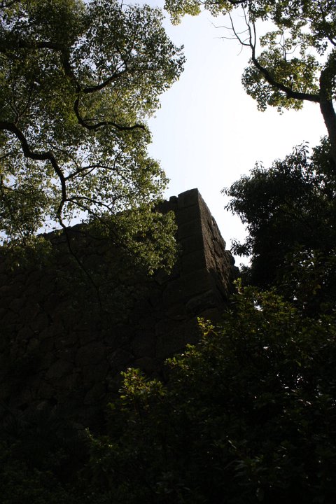 IMG 4057