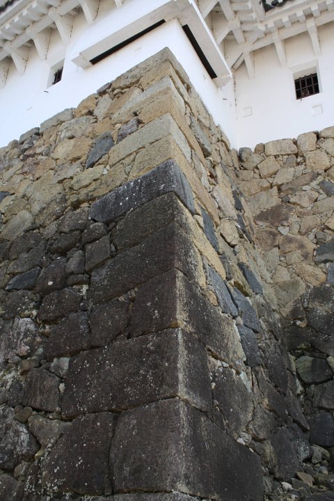 IMG 4073