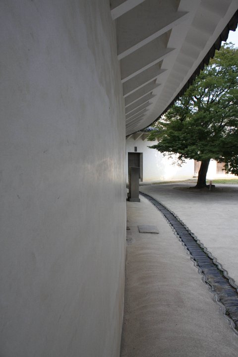 IMG 4091