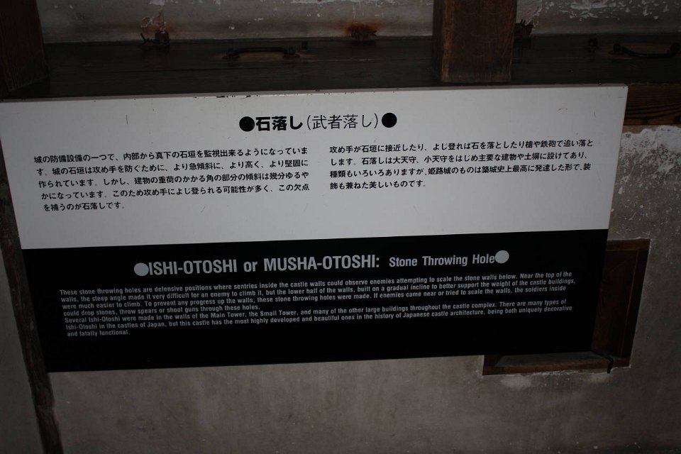 IMG 4281