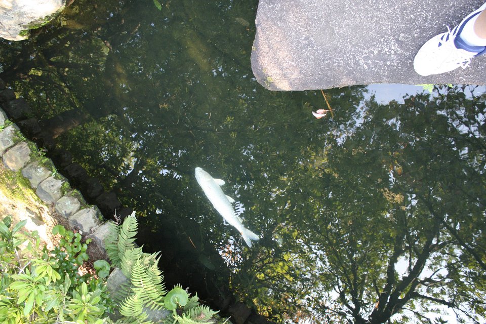 IMG 4360