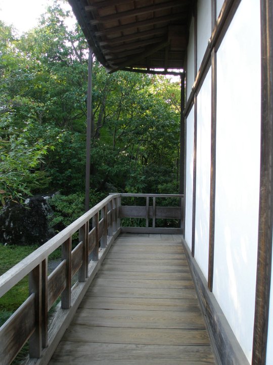 IMG 4379-1