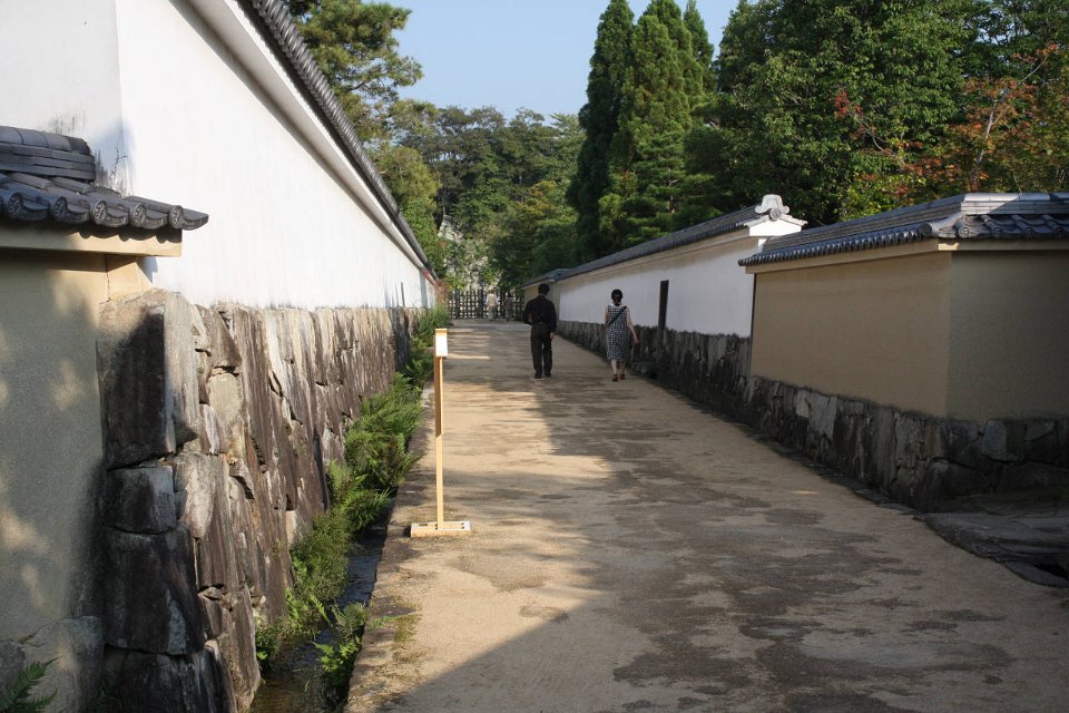 IMG 4386