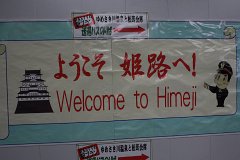 IMG 3951