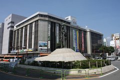 IMG 3953