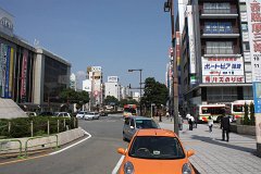 IMG 3955