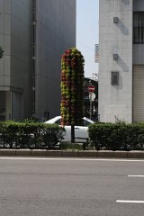 IMG 3957