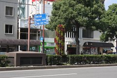 IMG 3958