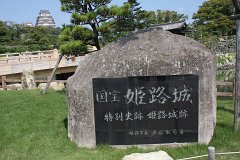 IMG 3973