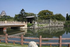 IMG 3974
