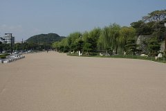 IMG 3977