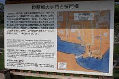 IMG 3978