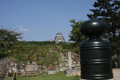 IMG 3981