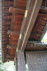 IMG 3984