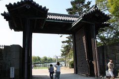 IMG 3985