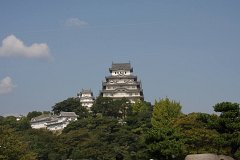 IMG 3986