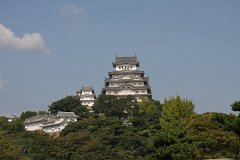 IMG 3988