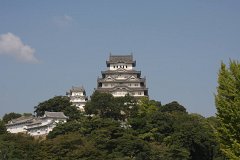 IMG 3992