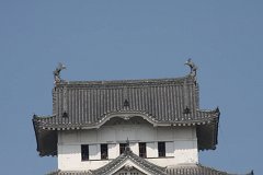IMG 3994