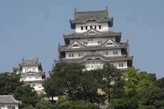 IMG 3995