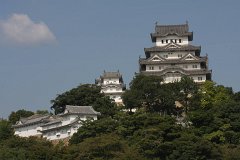 IMG 3996