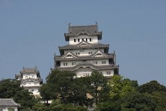IMG 3999