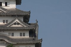 IMG 4000