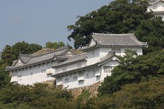 IMG 4002