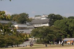 IMG 4003