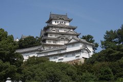 IMG 4004