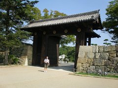 IMG 4005-1