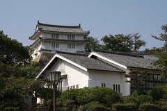 IMG 4006