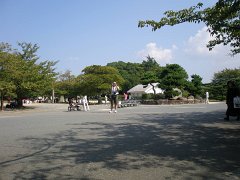IMG 4009-1