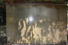 IMG 4011