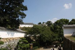 IMG 4016