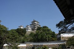 IMG 4019