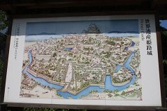 IMG 4024