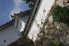 IMG 4027