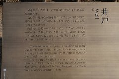 IMG 4029